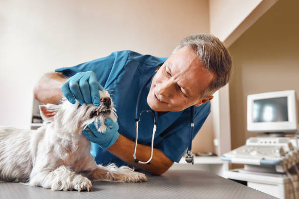 Best After-Hours Dental Care in Huntington, VA